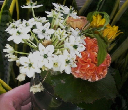 birthday-flowers.JPG