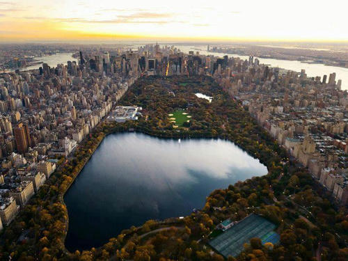 the-Central-Park.jpg