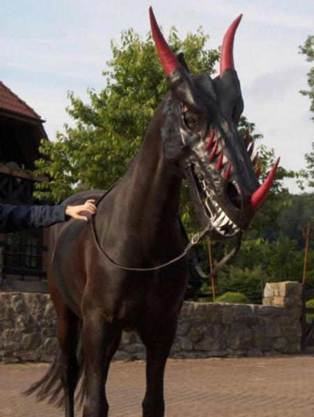 a-dragon-horse.jpg