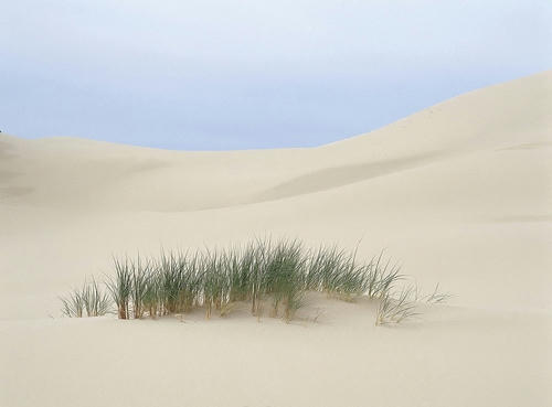desolate-land-1.jpg