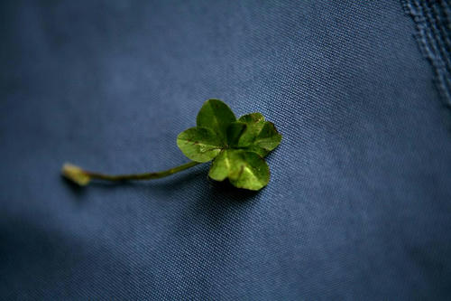 4leaves-which-everyone-saw.jpg
