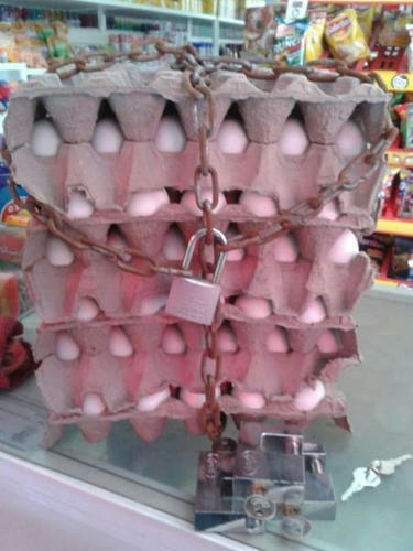 protection-of-eggs.jpg