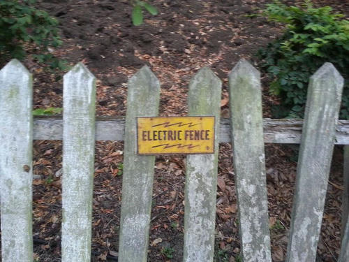electric-fence.jpg