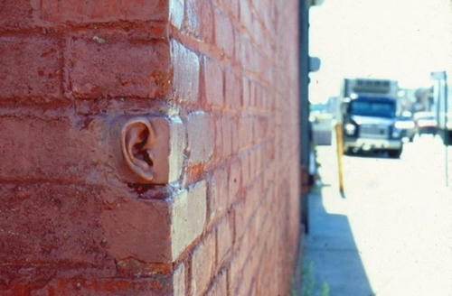 a-ear-of-the-wall.jpg