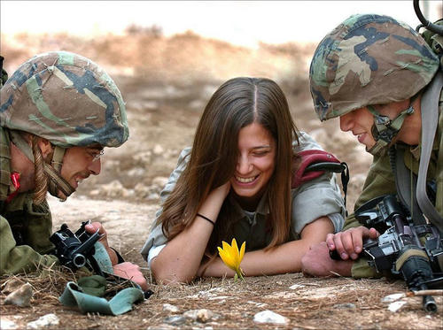 a-flower-in-the-war-field.jpg