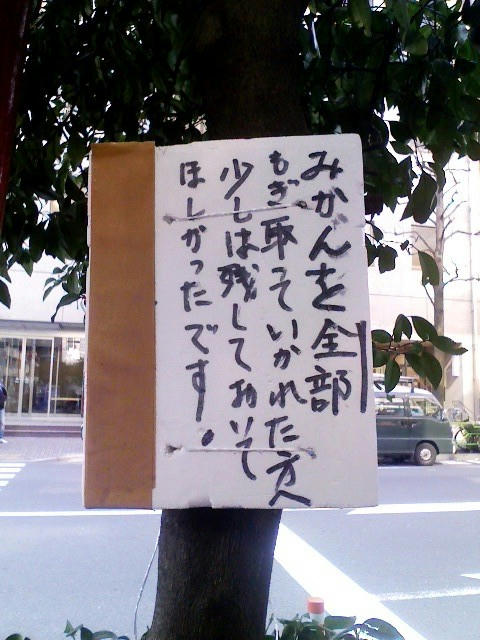 mikan-dorobo-hidosugi.jpg