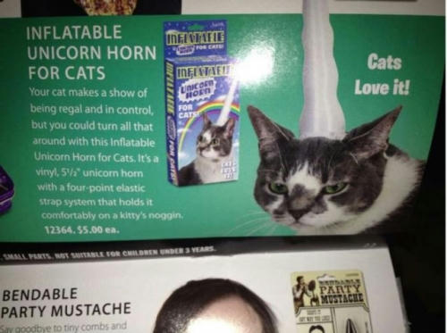 a-unicorn-horn-for-a-cat.jpg