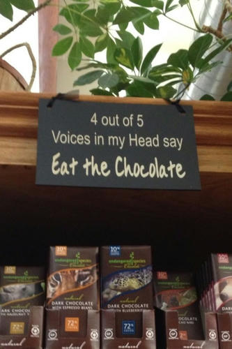 his-head-says-eat-the-chocolate.jpg