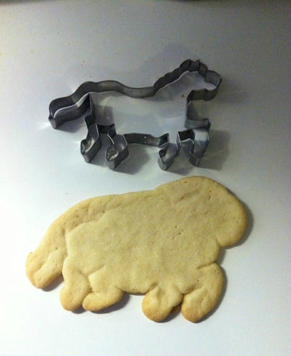 the-American-horse-cookie.jpg
