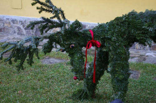 a-reindeer-headed-down.jpg