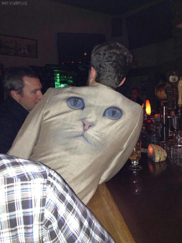a-cat-jacket-is-watching-you-guys.jpg