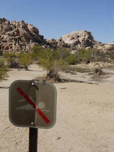 do-not-swim-here.jpg