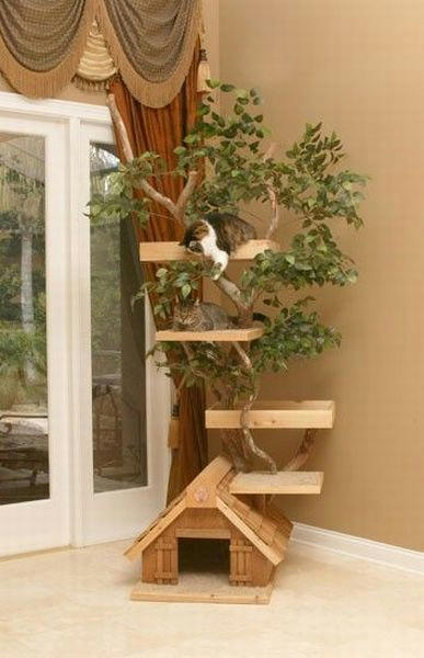 the-upper-class-cat-house.jpg