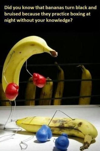 bananas-are-boxers-at-night.jpg