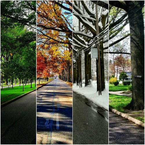 4seasons-of-street-view.jpg