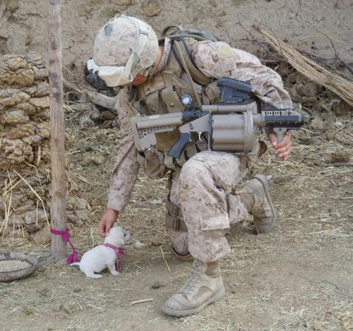 do-not-stroke-your-commander-soldier.jpg