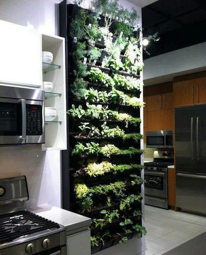 a-kitchen-of-herbs.jpg