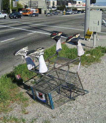 a-quadruped-robot.jpg