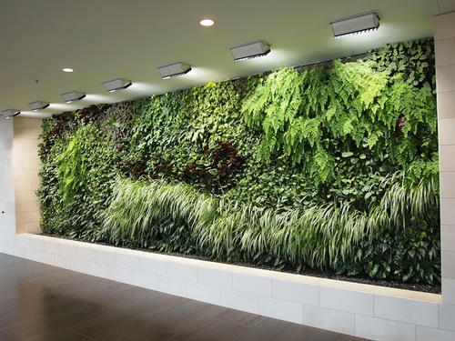 Green-Wall.jpg