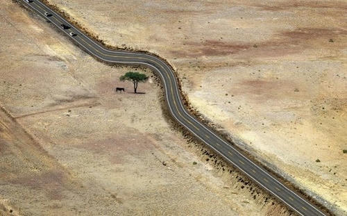 road-for-a-tree.jpg
