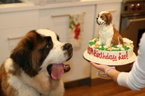happy-birthday-Leo.jpg