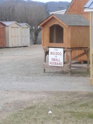 for-small-husband.jpg