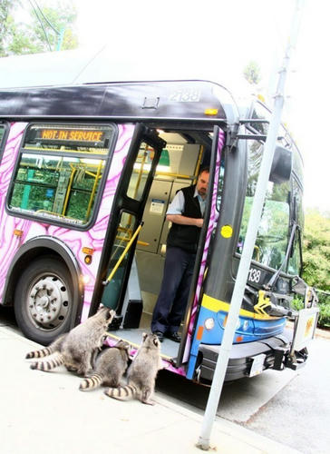 feed-us-bus-driver.jpg