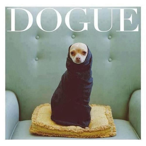 DOGUE.jpg