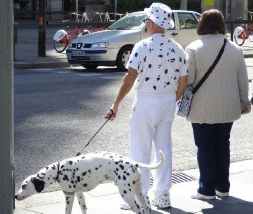 osoroi-a-owner-and-a-dog.jpg