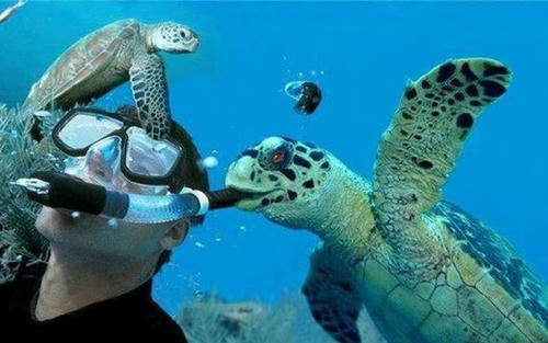 the-attack-of-the-ocean.jpg