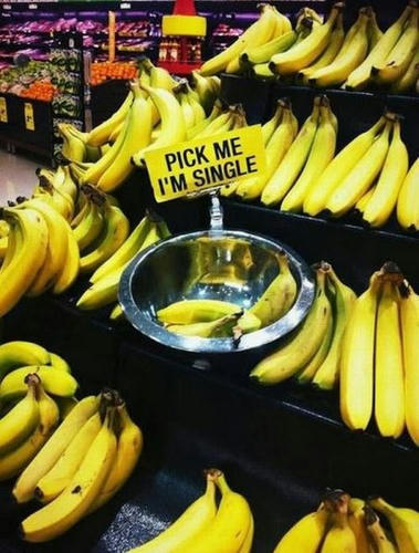 pick-the-single.jpg