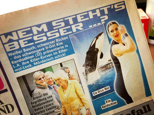orca-dress-in-the-news.jpg