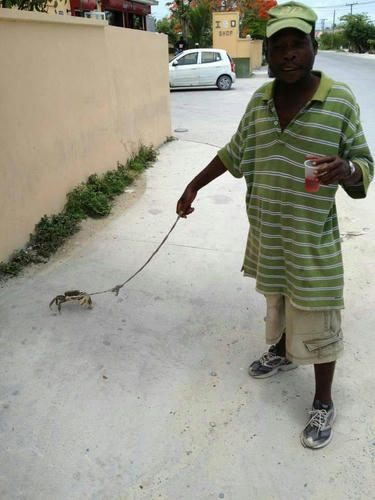 crab-walking.jpg