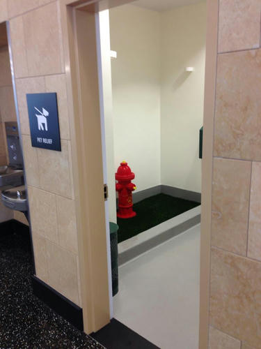 a-bathroom-for-pets-at-SDI-airport.jpg