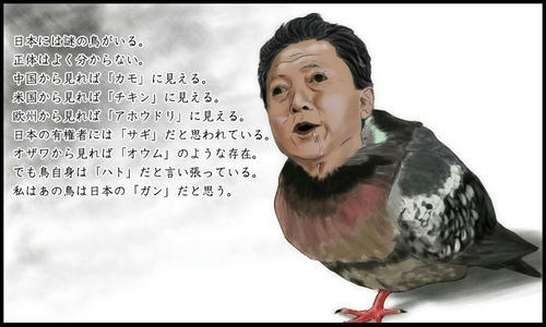 the-loopy-pigeon.jpg