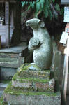 komanezu.jpg