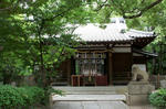 osakagaku6.jpg