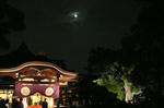 sumi8.jpg