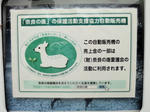zihan2.jpg