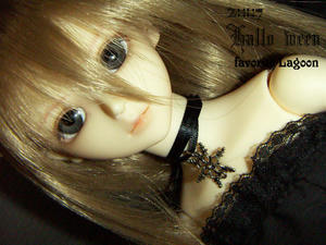 hw049.jpg