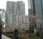 20100401sakura07.jpg