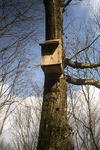 峰山高原の巣箱