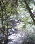 音水渓谷２