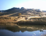 ススキの砥峰高原