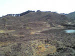 山焼き後の砥峰高原