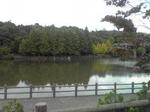 播磨中央公園の池の景色