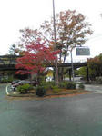 播磨中央公園駐車場