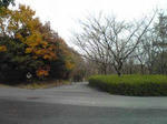桜の園の入口