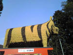 安志賀茂神社のトラ像1
