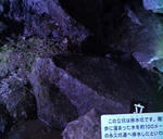 石見銀山龍源寺間歩坑道3